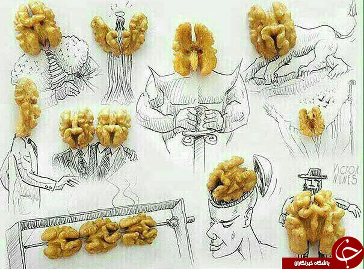 طراحی جالب با گردو /عکس