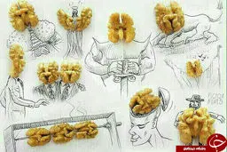 طراحی جالب با گردو /عکس