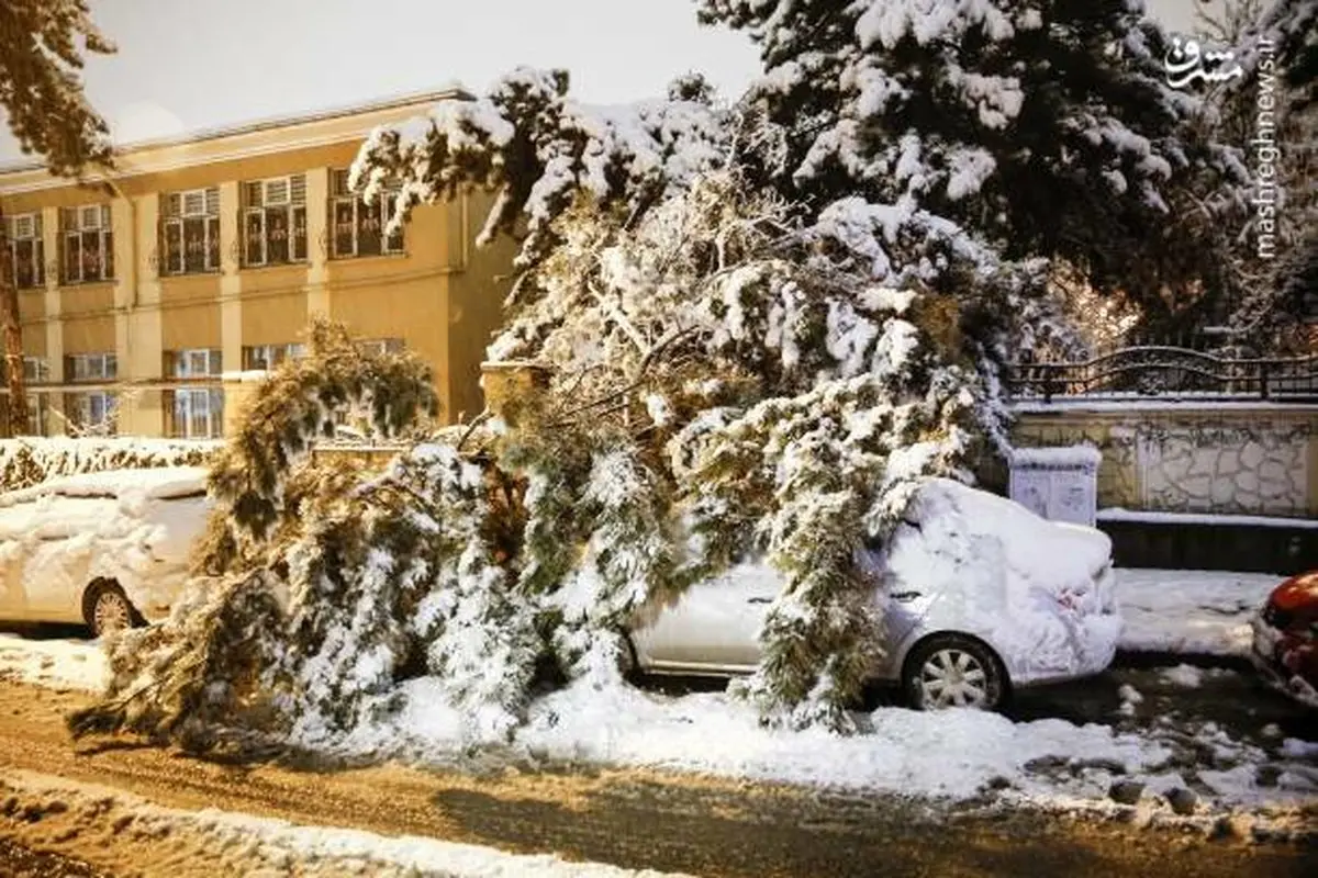 عکس/ بارش برف سنگین در آنکارا