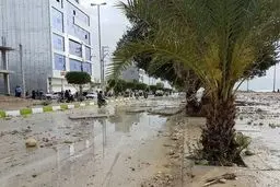 سونامی در بوشهر/تصاویر