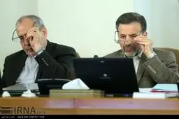 حواشی جالب جلسه هئیت دولت/ از اخم وزیر دفاع تا خنده صالحی