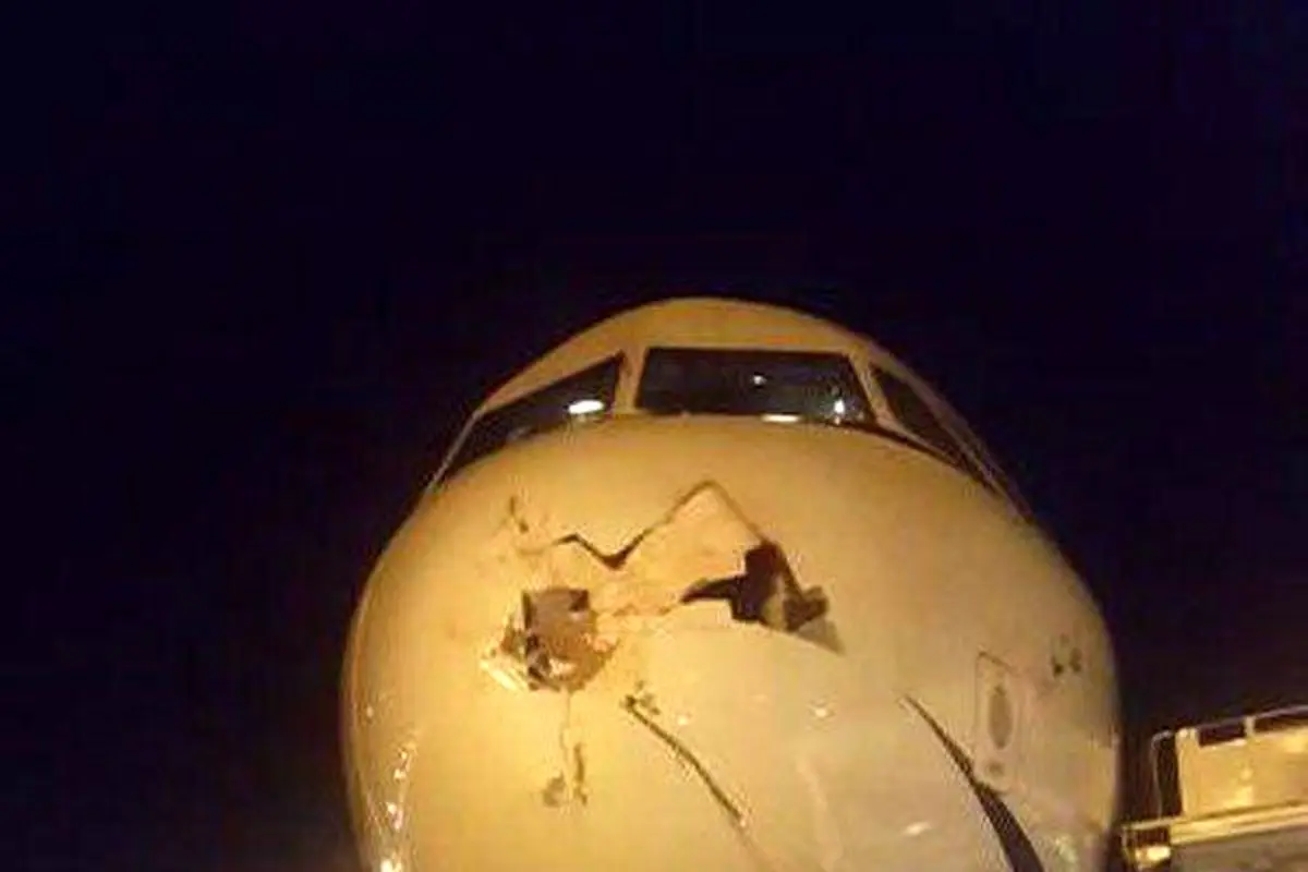 برخورد یک پرنده با دماغه هواپیما /عکس