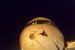 برخورد یک پرنده با دماغه هواپیما /عکس