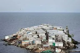 پرجمعیت ترین جزیره جهان را ببینید/عکس