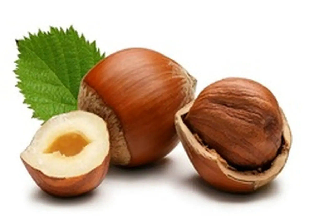 آجیل خوشمزه ای که لاغرتان می‌کند