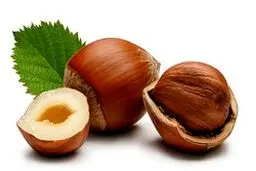 آجیل خوشمزه ای که لاغرتان می‌کند