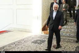 دیدار سید عمار حکیم با ظریف/تصاویر