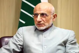 میرسلیم: مجمع تشخیص در جلسه‌ای خصوصی در مورد FATF تصمیم‌گیری کرده / نتیجه این بررسی‌ها برای دولت مثبت نبوده /