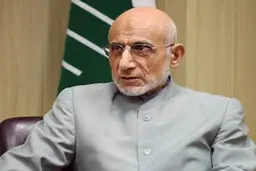 میرسلیم: مجمع تشخیص در جلسه‌ای خصوصی در مورد FATF تصمیم‌گیری کرده / نتیجه این بررسی‌ها برای دولت مثبت نبوده /