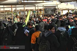 زائران اربعین حسینی در مرز مهران/ تصاویر