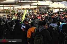 زائران اربعین حسینی در مرز مهران/ تصاویر