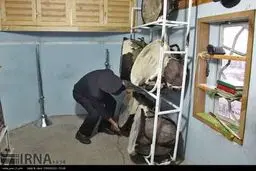 تصاویر زیبا از مراسم نقاره زنی در حرم رضوی