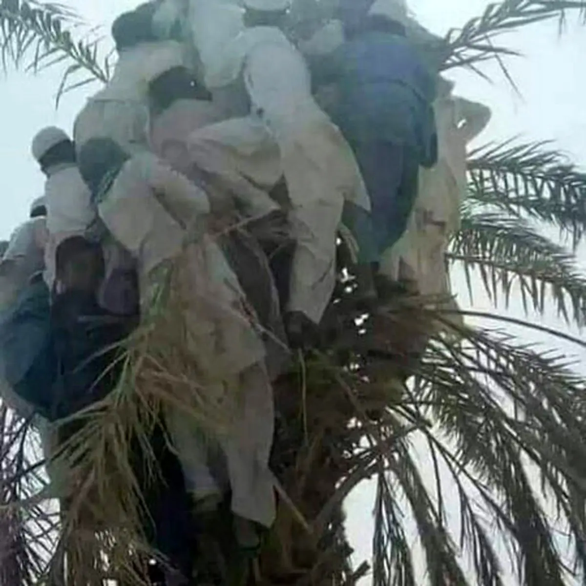 تصویری عجیب از سیل‌ زدگان سیستان و بلوچستان