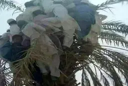 تصویری عجیب از سیل‌ زدگان سیستان و بلوچستان