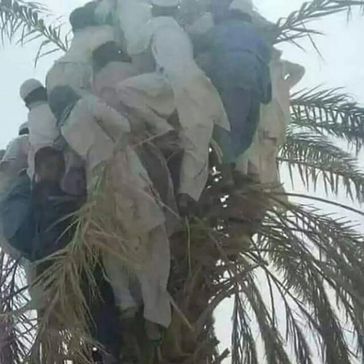 تصویری عجیب از سیل‌ زدگان سیستان و بلوچستان