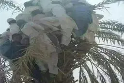 تصویری عجیب از سیل‌ زدگان سیستان و بلوچستان