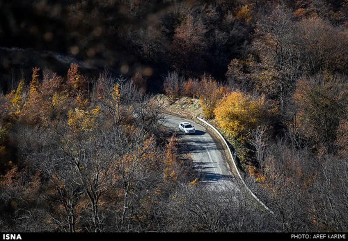 پاییز در دریاچه عباس آباد بهشهر/تصاویر