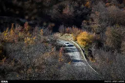 پاییز در دریاچه عباس آباد بهشهر/تصاویر