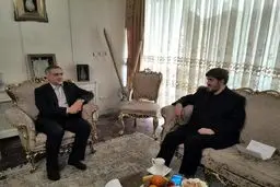 دلجویی برادر حسن روحانی از علی مطهری/ عکس