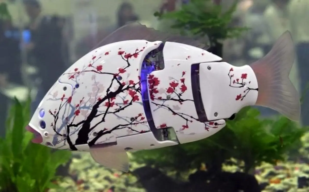 رونمایی از ماهی روبات+عکس