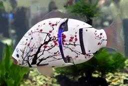 رونمایی از ماهی روبات+عکس