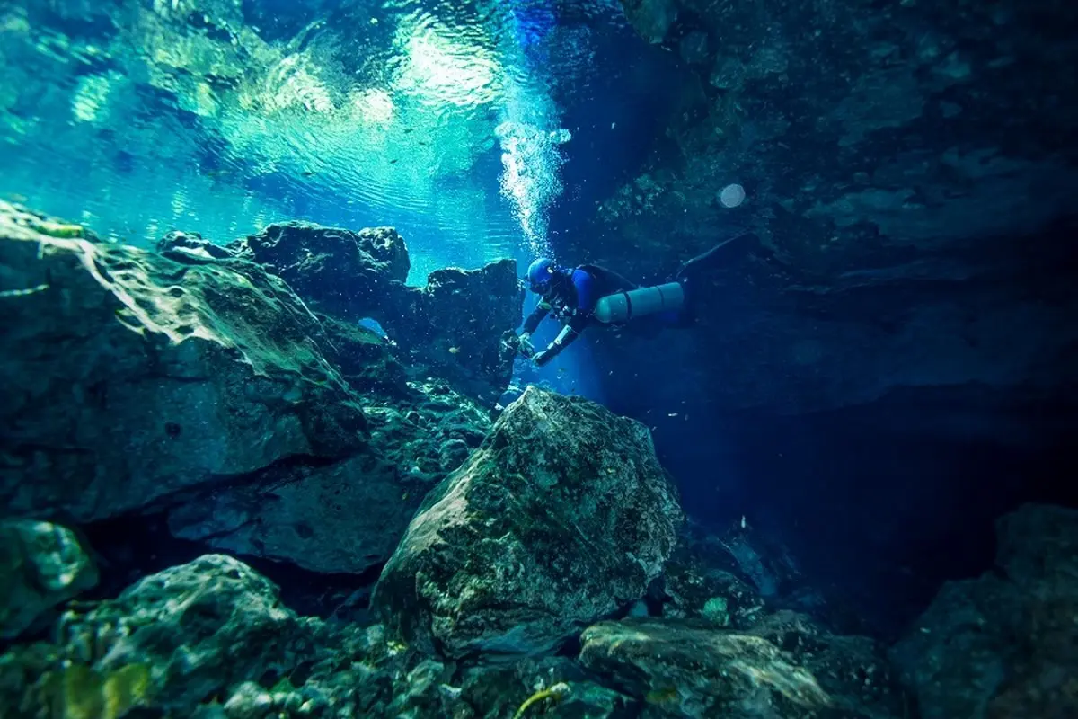 تصاویری رویایی از جریان زندگی در عمق زمین