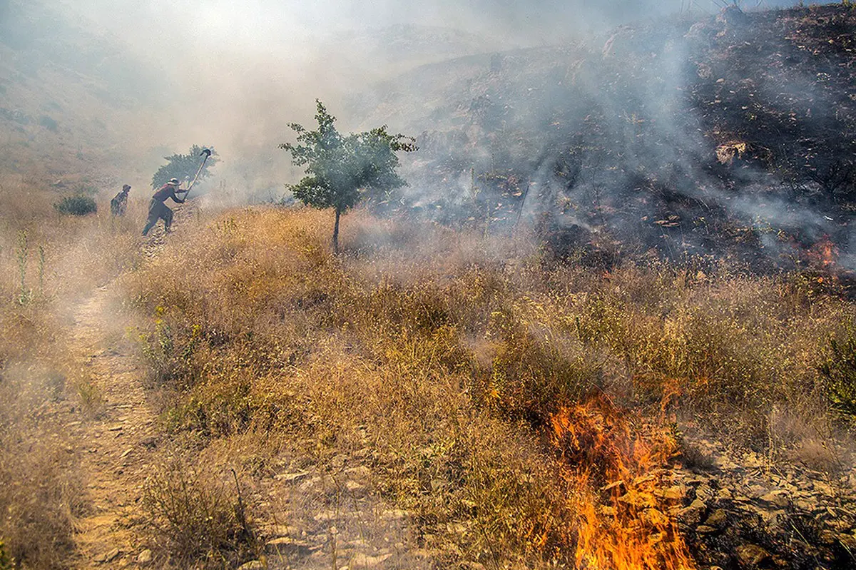 آتش در « آبیدر »
