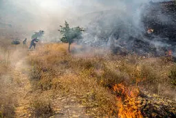 آتش در « آبیدر »