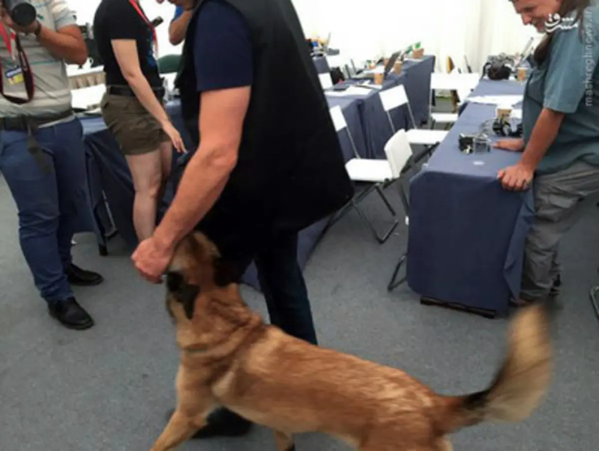 مهمان ناخوانده خبرنگاران در مذاکرات! /عکس