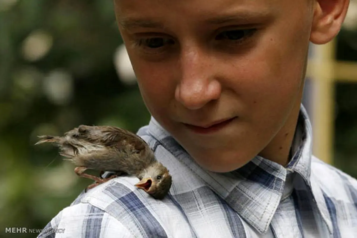 حیوانات دست آموز نامتعارف+ عکس