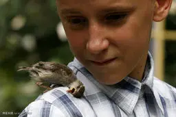 حیوانات دست آموز نامتعارف+ عکس