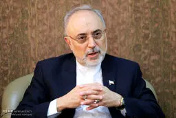 صالحی: سفر احمدی نژاد به ابوموسی توافق با امارات را خراب کرد/ گفتگوی 2 ساعته در خانه سعود الفیصل