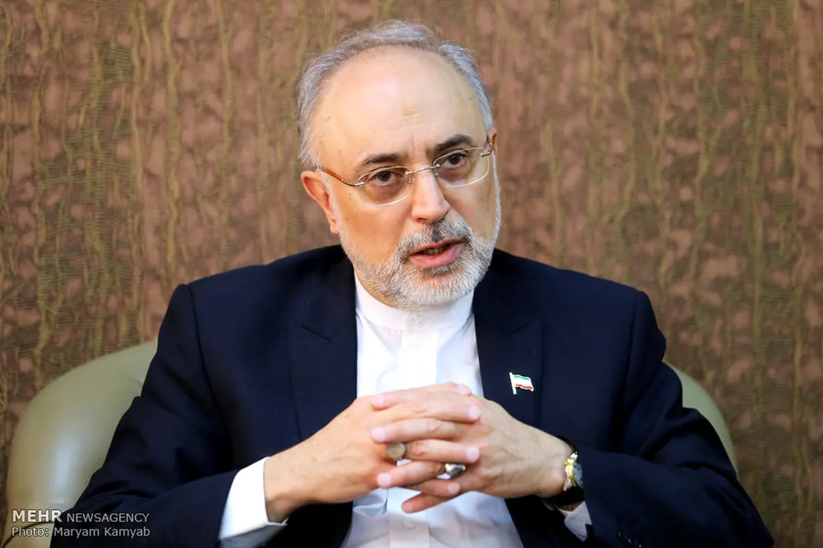 صالحی: سفر احمدی نژاد به ابوموسی توافق با امارات را خراب کرد/ گفتگوی 2 ساعته در خانه سعود الفیصل