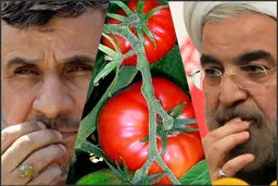 گوجه فرنگی؛ پیراهن عثمانی در دست منتقدان تندروی دولت روحانی! /داستان سیاسی‌ترین میوه ایران