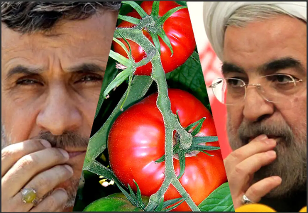 گوجه فرنگی؛ پیراهن عثمانی در دست منتقدان تندروی دولت روحانی! /داستان سیاسی‌ترین میوه ایران
