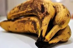 رازهایی که درون موزهای سیاه و گندیده نهفته است!