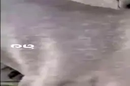 اولین ویدئو از شهادت یکی از فرماندهان حزب الله لبنان