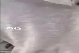 اولین ویدئو از شهادت یکی از فرماندهان حزب الله لبنان