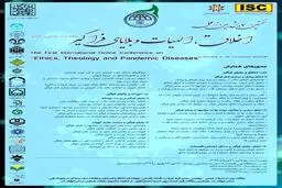 اولین همایش بین المللی "اخلاق الهیات و بلایای فراگیر"