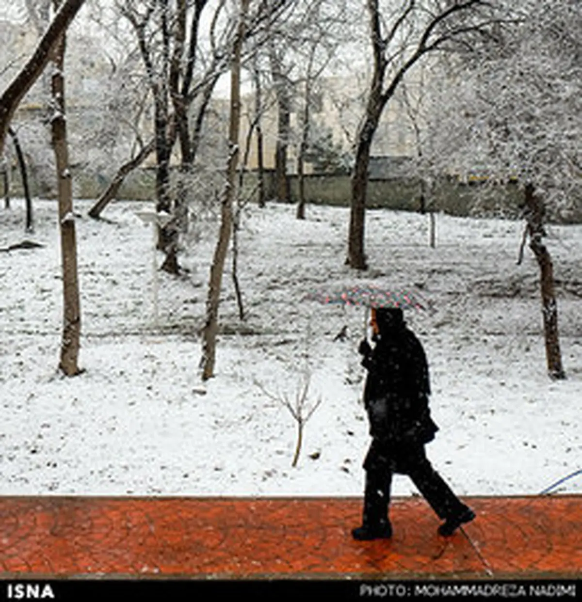 برف بخش هایی از پایتخت را سفید پوش کرد/تصاویر