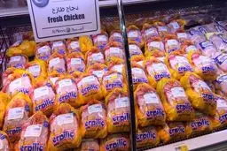 3 برابر شدن صادرات ترکیه به قطر / ارسال نخستین محموله غذایی از راه دریا