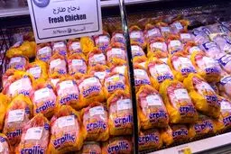 3 برابر شدن صادرات ترکیه به قطر / ارسال نخستین محموله غذایی از راه دریا