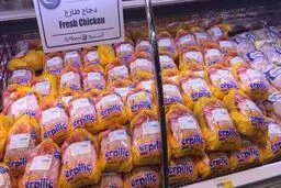 3 برابر شدن صادرات ترکیه به قطر / ارسال نخستین محموله غذایی از راه دریا
