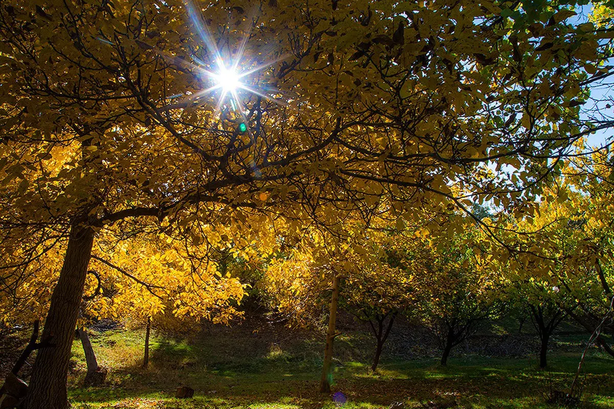 تصاویر / شاهكارهای نقاش طبيعت را در کردستان ببینید!