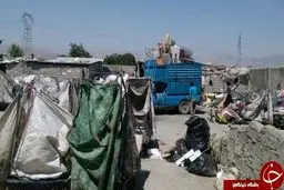 خورده شدن انگشتان کودک زباله‌گرد توسط موش!+ عکس