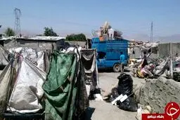 خورده شدن انگشتان کودک زباله‌گرد توسط موش!+ عکس