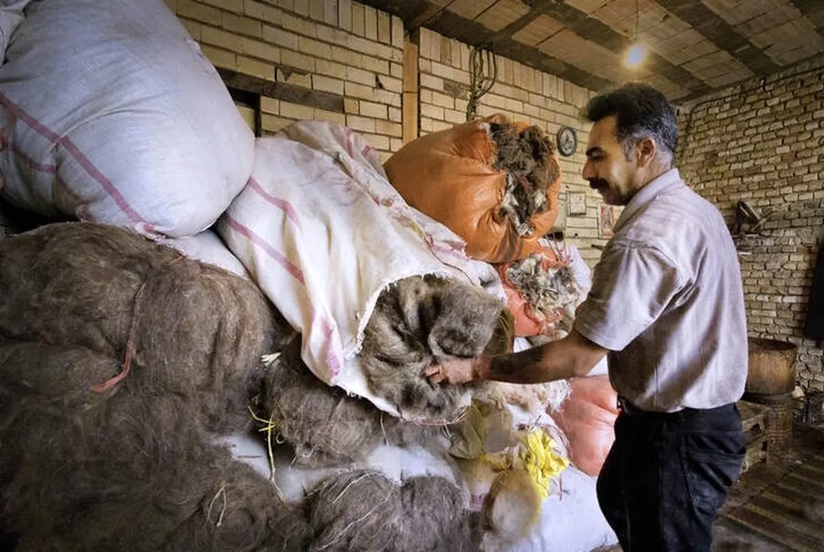 هنری برگرفته از طبیعت/ تصاویر