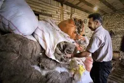 هنری برگرفته از طبیعت/ تصاویر