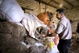 هنری برگرفته از طبیعت/ تصاویر