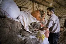 هنری برگرفته از طبیعت/ تصاویر